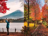 NHỮNG LÝ DO KHÁCH VIỆT CHỌN DU LỊCH NHẬT BẢN MÙA THU