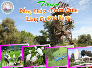 TOUR ĐỒNG THÁP - TRÀM CHIM