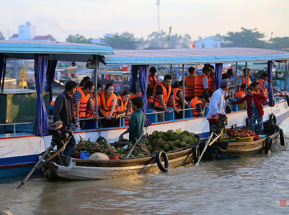 TOUR  CẦN THƠ 1 NGÀY