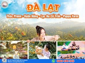 ĐÀ LẠT - CHECKIN MÙA HỒNG