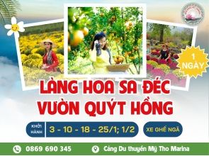 LÀNG HOA SA ĐÉC - VƯỜN QUÝT HỒNG LAI VUNG