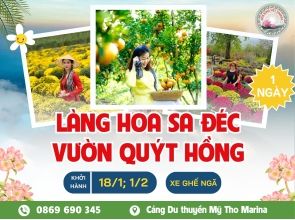 LÀNG HOA SA ĐÉC - VƯỜN QUÝT HỒNG LAI VUNG