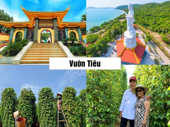 PHÚ QUỐC - HÒN THƠM - CẦU HÔN - BUFFET TRƯA